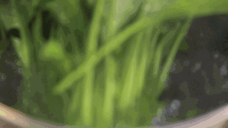 做菜一定要焯水的5种蔬菜,再懒也不能省!现在知道还不晚丨大厨窍门 - 第3张 - 土一的小窝窝 做菜一定要焯水的5种蔬菜,再懒也不能省!现在知道还不晚丨大厨窍门 - 第3张