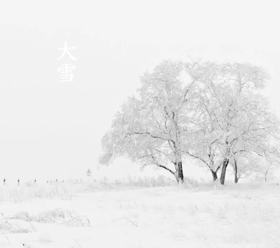 诗词丨雪落成诗，景美情长 - 第3张