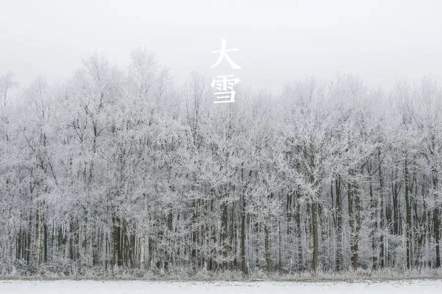 诗词丨雪落成诗，景美情长 - 第10张