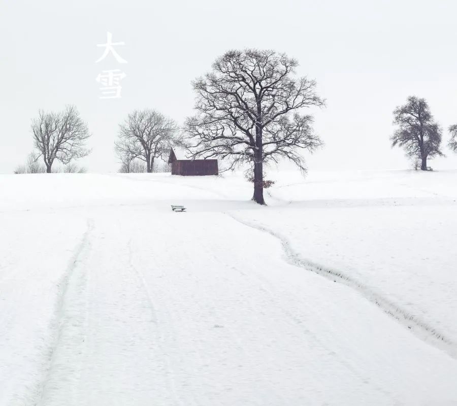 诗词丨雪落成诗，景美情长 - 第11张