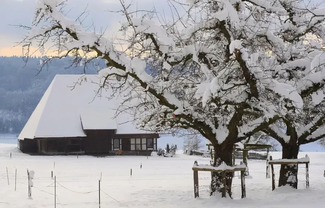 诗词丨煮雪烹茶，静夜听雪，古人的冬天也浪漫 - 第5张