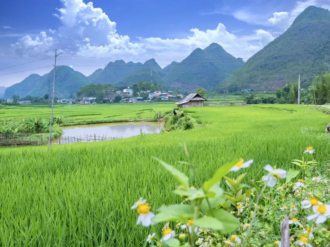 诗词丨人生何处不相逢，既相逢，莫相忘！ - 第10张