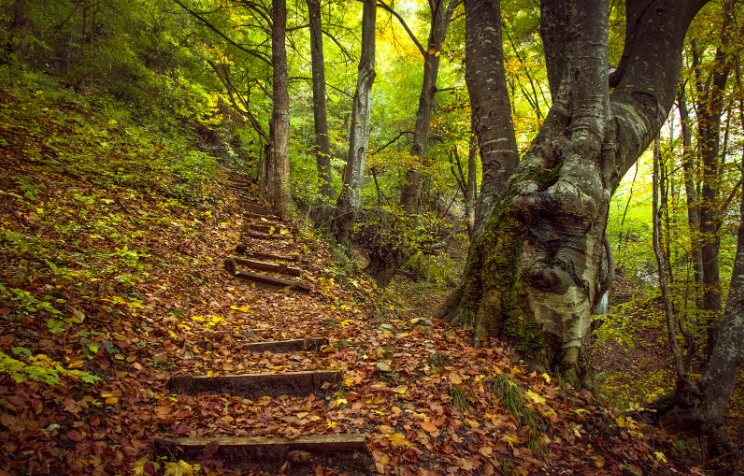 科学登山健身指导 | 秋季登山，这些需要格外注意 - 第5张