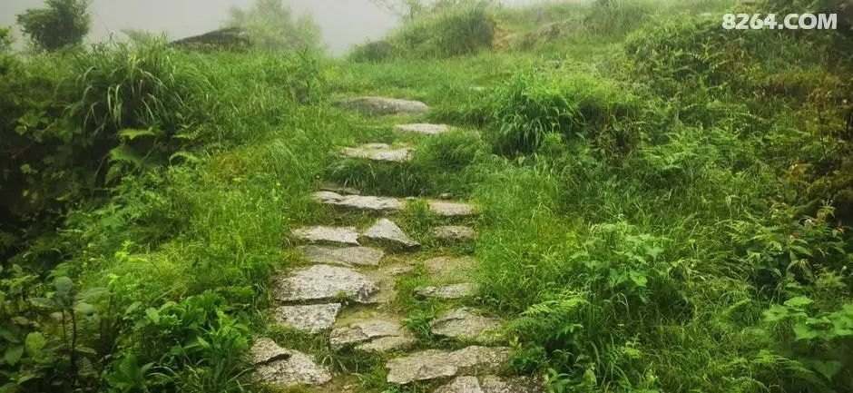 女子单人五一重装武功山全穿，狂风暴雨，云海奔涌，杜鹃娇艳，这景色绝了 - 第3张