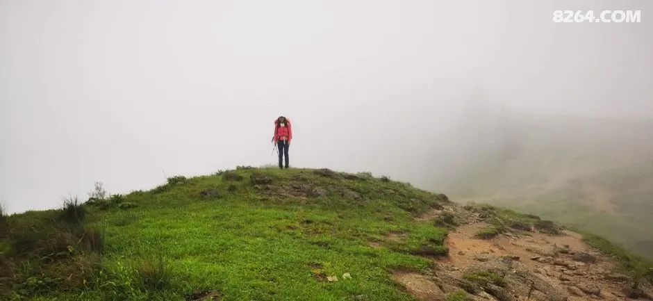 女子单人五一重装武功山全穿，狂风暴雨，云海奔涌，杜鹃娇艳，这景色绝了 - 第10张