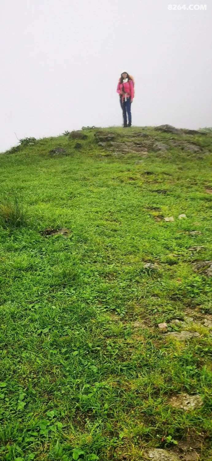 女子单人五一重装武功山全穿，狂风暴雨，云海奔涌，杜鹃娇艳，这景色绝了 - 第12张