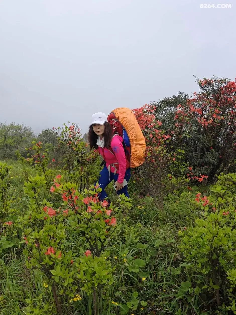 女子单人五一重装武功山全穿，狂风暴雨，云海奔涌，杜鹃娇艳，这景色绝了 - 第19张