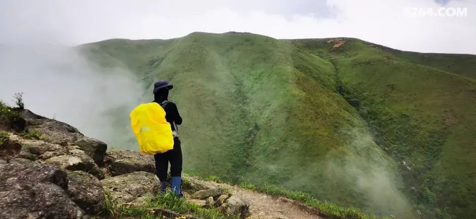 女子单人五一重装武功山全穿，狂风暴雨，云海奔涌，杜鹃娇艳，这景色绝了 - 第21张