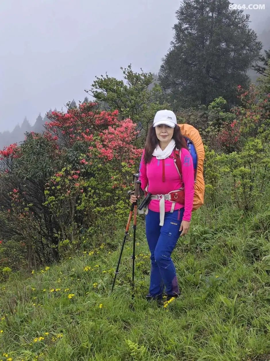 女子单人五一重装武功山全穿，狂风暴雨，云海奔涌，杜鹃娇艳，这景色绝了 - 第20张