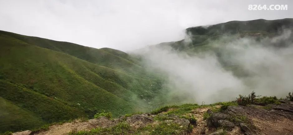 女子单人五一重装武功山全穿，狂风暴雨，云海奔涌，杜鹃娇艳，这景色绝了 - 第26张