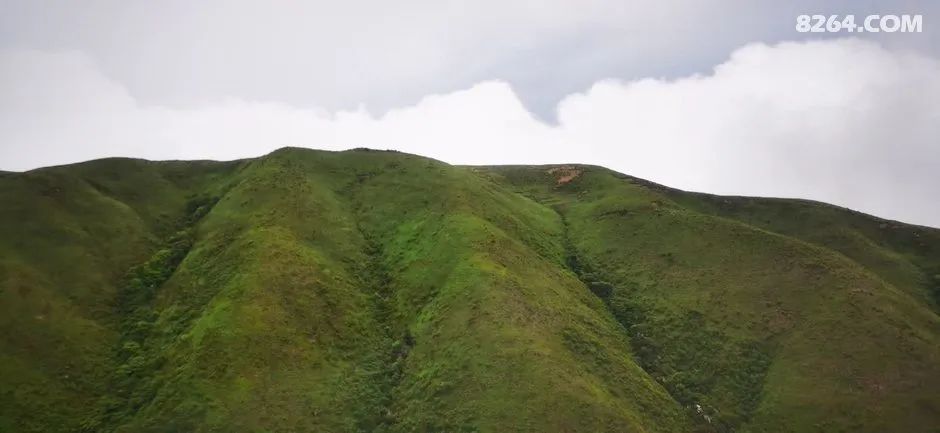 女子单人五一重装武功山全穿，狂风暴雨，云海奔涌，杜鹃娇艳，这景色绝了 - 第28张