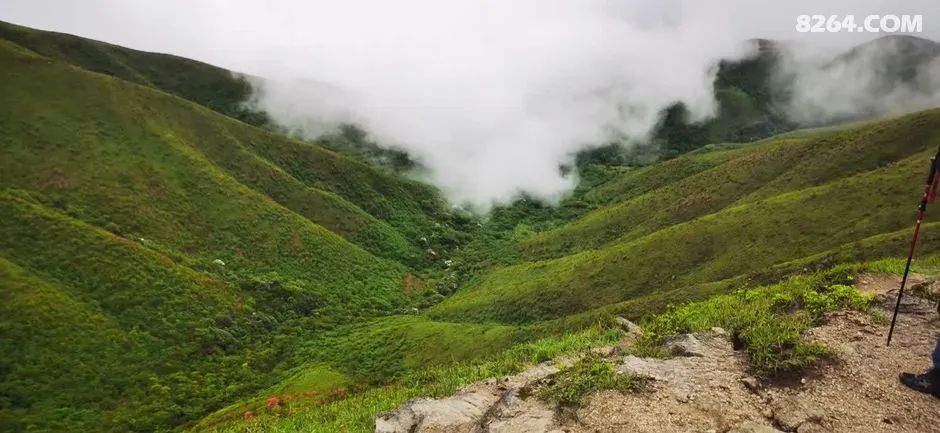 女子单人五一重装武功山全穿，狂风暴雨，云海奔涌，杜鹃娇艳，这景色绝了 - 第27张