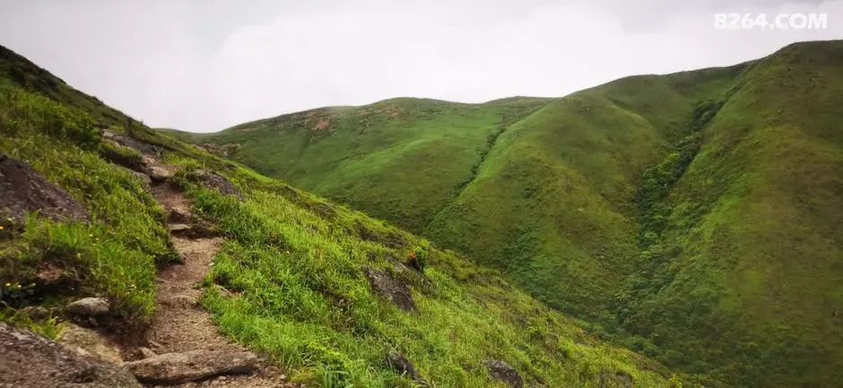 女子单人五一重装武功山全穿，狂风暴雨，云海奔涌，杜鹃娇艳，这景色绝了 - 第30张