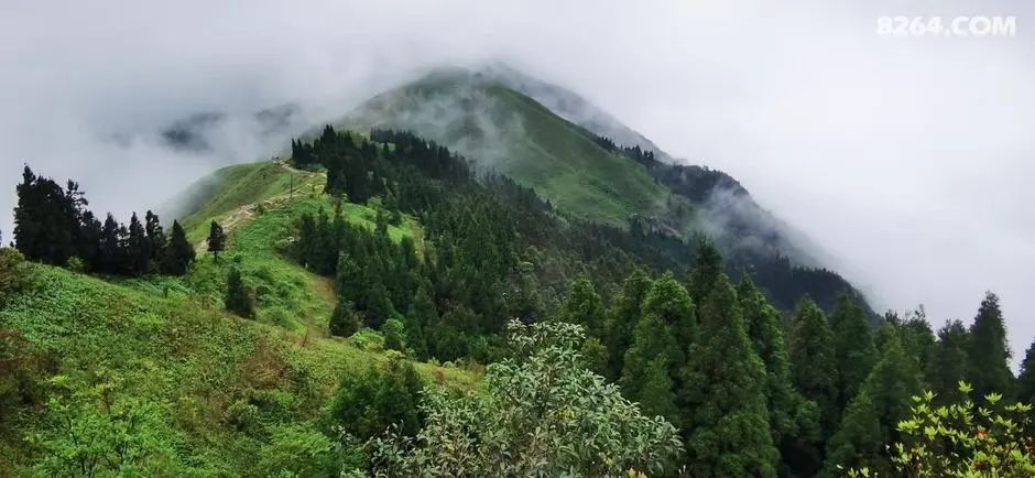 女子单人五一重装武功山全穿，狂风暴雨，云海奔涌，杜鹃娇艳，这景色绝了 - 第31张