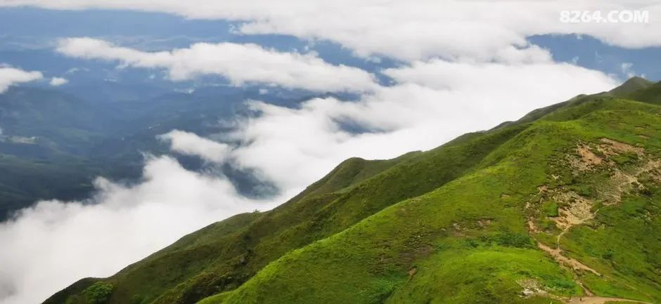 女子单人五一重装武功山全穿，狂风暴雨，云海奔涌，杜鹃娇艳，这景色绝了 - 第40张