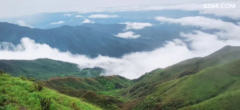 女子单人五一重装武功山全穿，狂风暴雨，云海奔涌，杜鹃娇艳，这景色绝了 - 第39张