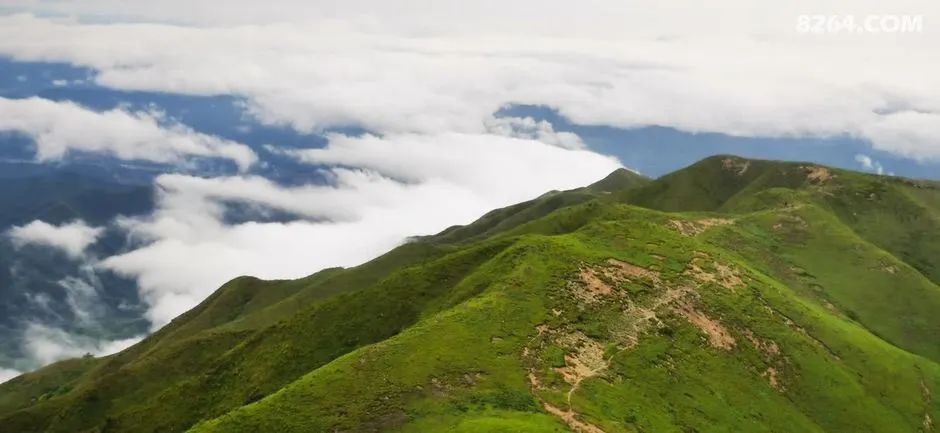 女子单人五一重装武功山全穿，狂风暴雨，云海奔涌，杜鹃娇艳，这景色绝了 - 第42张