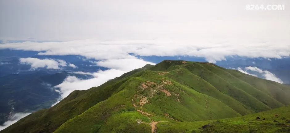 女子单人五一重装武功山全穿，狂风暴雨，云海奔涌，杜鹃娇艳，这景色绝了 - 第44张