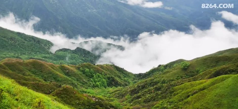 女子单人五一重装武功山全穿，狂风暴雨，云海奔涌，杜鹃娇艳，这景色绝了 - 第41张