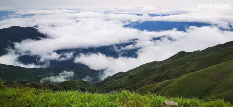 女子单人五一重装武功山全穿，狂风暴雨，云海奔涌，杜鹃娇艳，这景色绝了 - 第49张