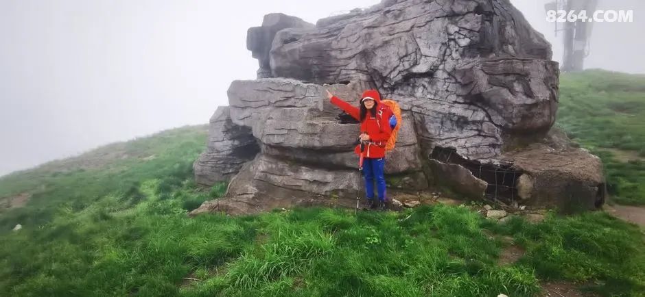 女子单人五一重装武功山全穿，狂风暴雨，云海奔涌，杜鹃娇艳，这景色绝了 - 第51张