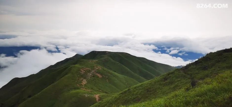 女子单人五一重装武功山全穿，狂风暴雨，云海奔涌，杜鹃娇艳，这景色绝了 - 第50张