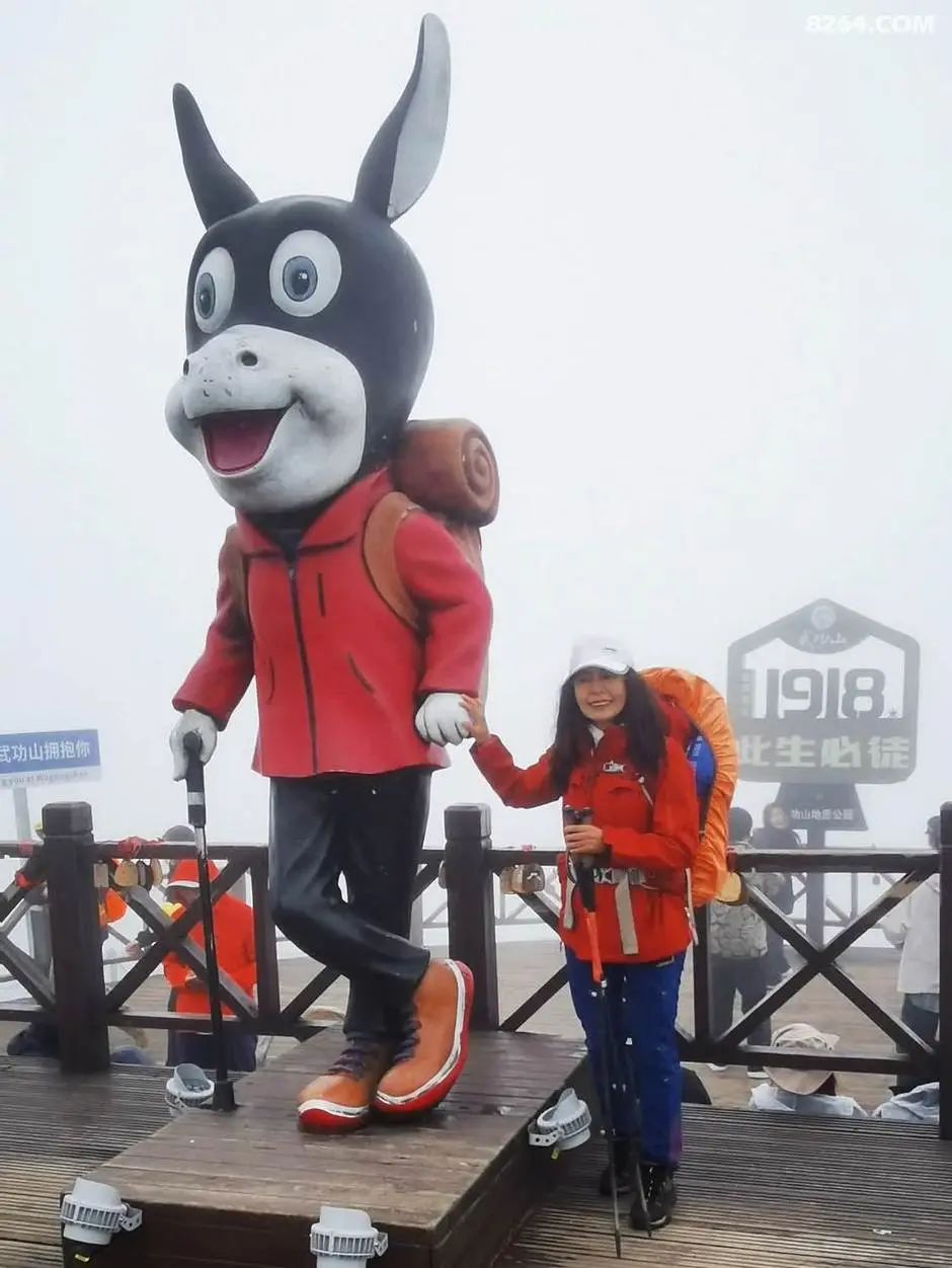 女子单人五一重装武功山全穿，狂风暴雨，云海奔涌，杜鹃娇艳，这景色绝了 - 第58张