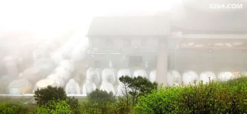 女子单人五一重装武功山全穿，狂风暴雨，云海奔涌，杜鹃娇艳，这景色绝了 - 第66张