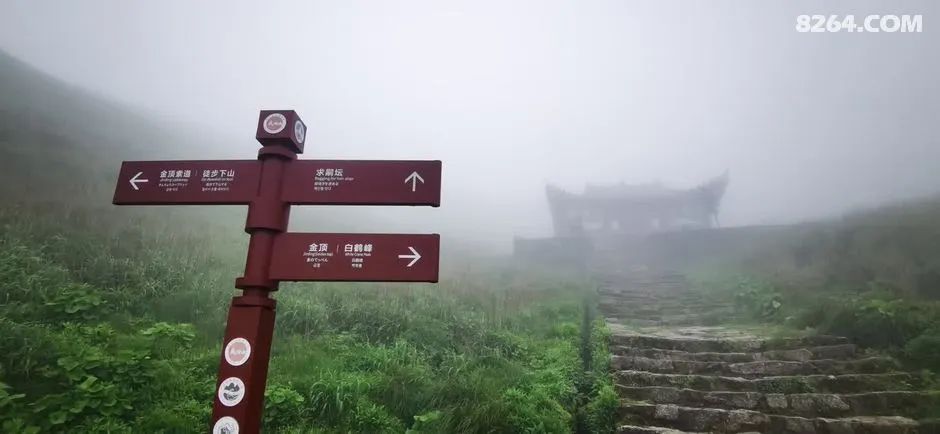 女子单人五一重装武功山全穿，狂风暴雨，云海奔涌，杜鹃娇艳，这景色绝了 - 第65张