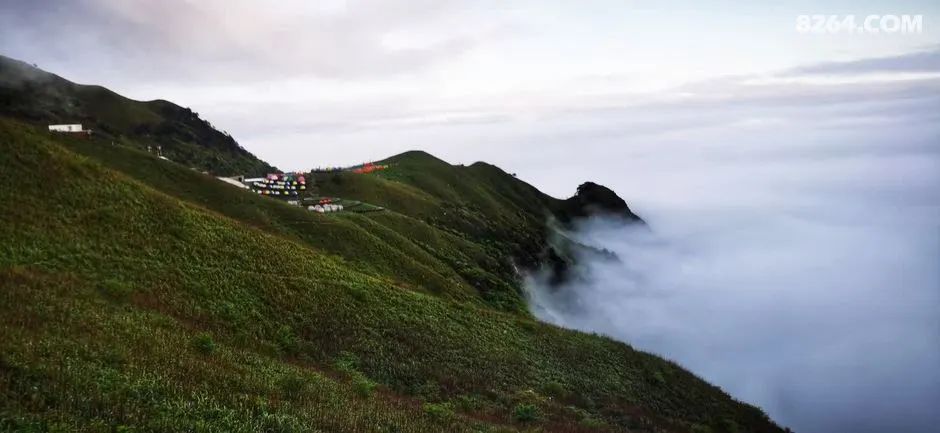 女子单人五一重装武功山全穿，狂风暴雨，云海奔涌，杜鹃娇艳，这景色绝了 - 第72张