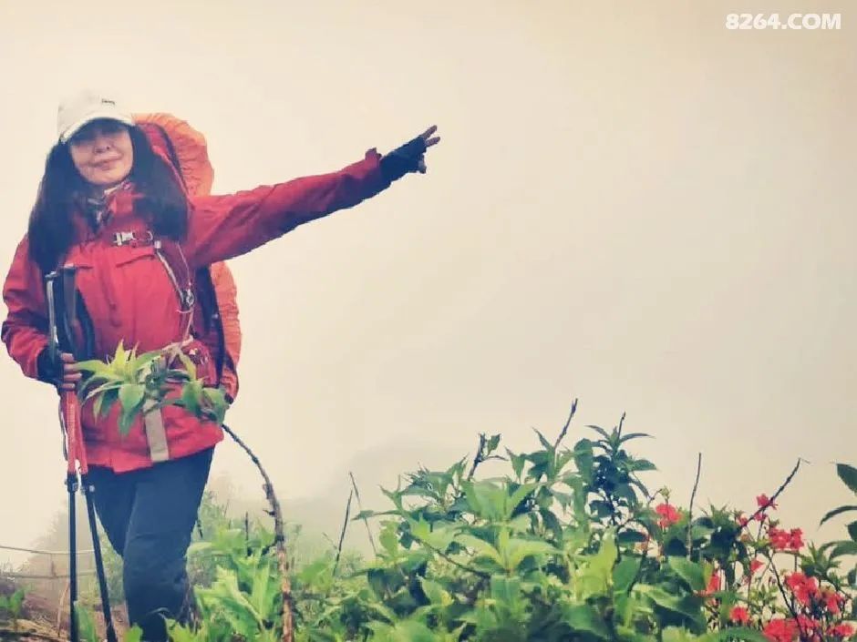 女子单人五一重装武功山全穿，狂风暴雨，云海奔涌，杜鹃娇艳，这景色绝了 - 第78张