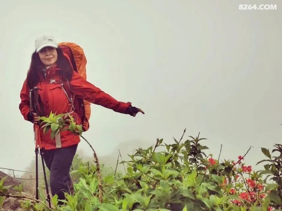 女子单人五一重装武功山全穿，狂风暴雨，云海奔涌，杜鹃娇艳，这景色绝了 - 第79张