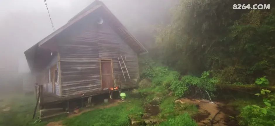 女子单人五一重装武功山全穿，狂风暴雨，云海奔涌，杜鹃娇艳，这景色绝了 - 第100张