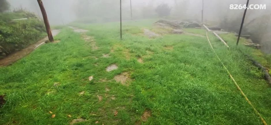 女子单人五一重装武功山全穿，狂风暴雨，云海奔涌，杜鹃娇艳，这景色绝了 - 第101张