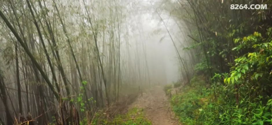 女子单人五一重装武功山全穿，狂风暴雨，云海奔涌，杜鹃娇艳，这景色绝了 - 第105张