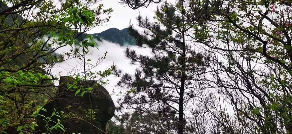 女子单人五一重装武功山全穿，狂风暴雨，云海奔涌，杜鹃娇艳，这景色绝了 - 第110张