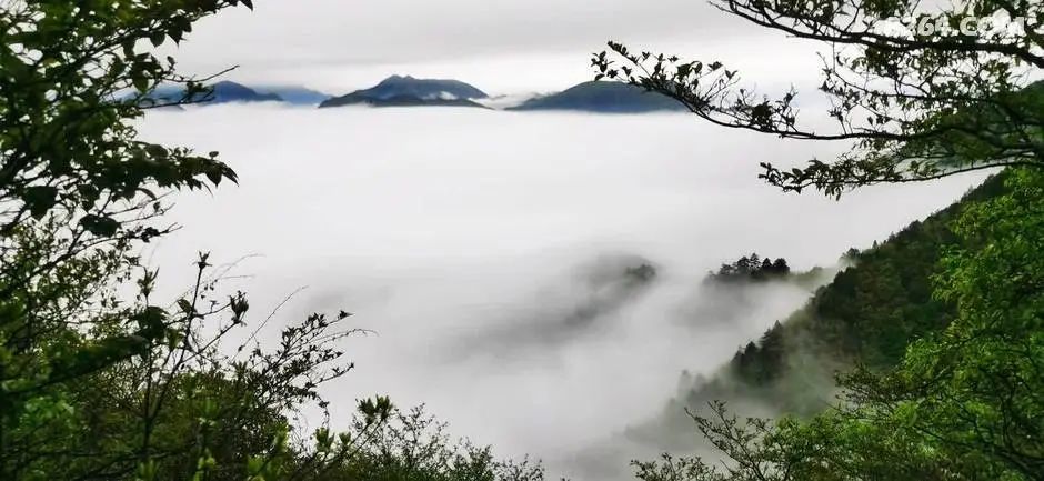 女子单人五一重装武功山全穿，狂风暴雨，云海奔涌，杜鹃娇艳，这景色绝了 - 第107张