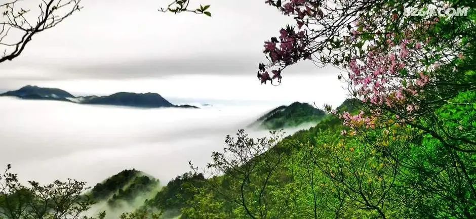 女子单人五一重装武功山全穿，狂风暴雨，云海奔涌，杜鹃娇艳，这景色绝了 - 第108张