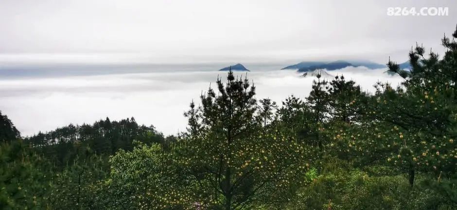 女子单人五一重装武功山全穿，狂风暴雨，云海奔涌，杜鹃娇艳，这景色绝了 - 第112张