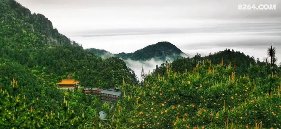 女子单人五一重装武功山全穿，狂风暴雨，云海奔涌，杜鹃娇艳，这景色绝了 - 第115张