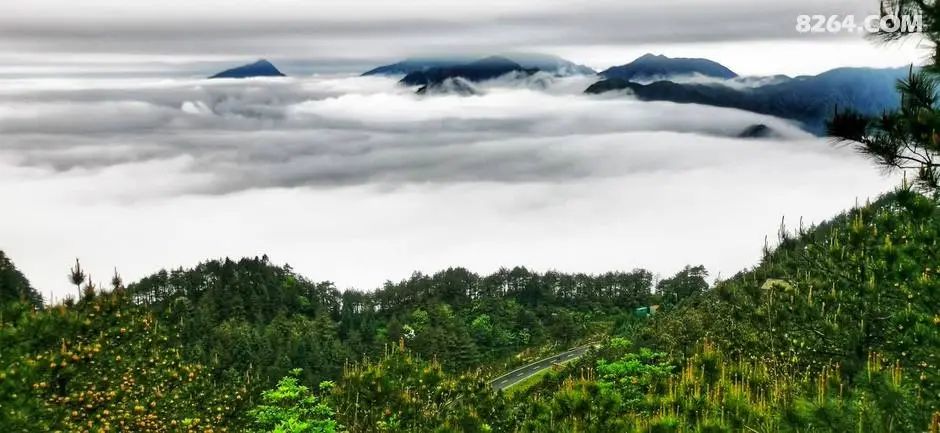 女子单人五一重装武功山全穿，狂风暴雨，云海奔涌，杜鹃娇艳，这景色绝了 - 第116张