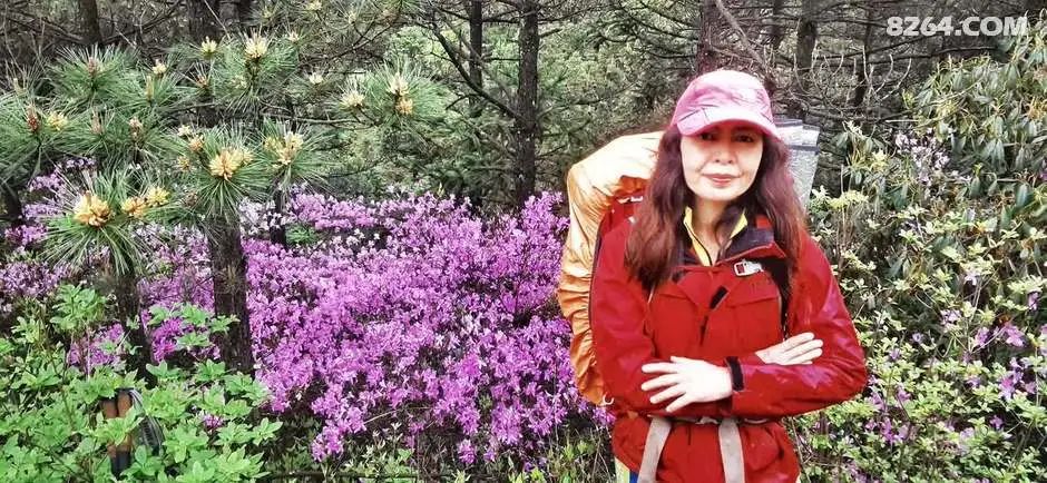 女子单人五一重装武功山全穿，狂风暴雨，云海奔涌，杜鹃娇艳，这景色绝了 - 第121张