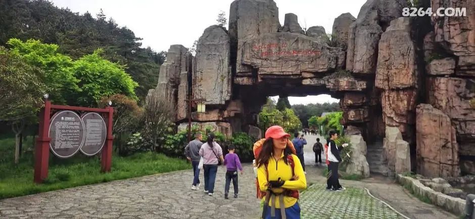 女子单人五一重装武功山全穿，狂风暴雨，云海奔涌，杜鹃娇艳，这景色绝了 - 第125张