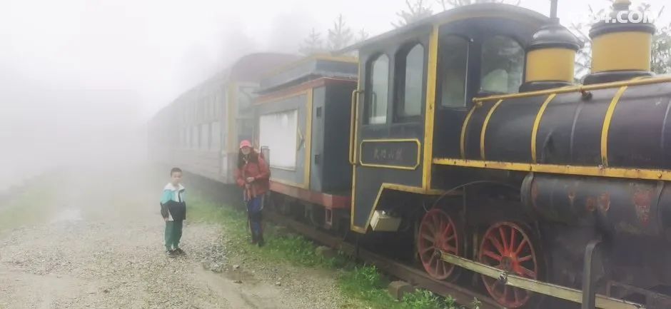 女子单人五一重装武功山全穿，狂风暴雨，云海奔涌，杜鹃娇艳，这景色绝了 - 第123张