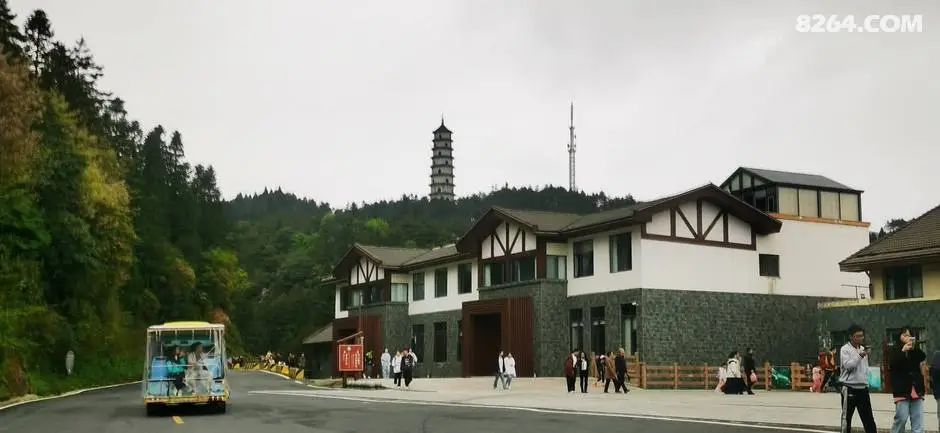 女子单人五一重装武功山全穿，狂风暴雨，云海奔涌，杜鹃娇艳，这景色绝了 - 第128张