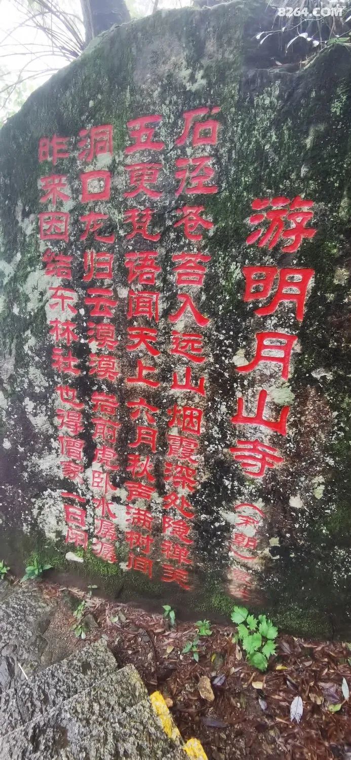 女子单人五一重装武功山全穿，狂风暴雨，云海奔涌，杜鹃娇艳，这景色绝了 - 第132张