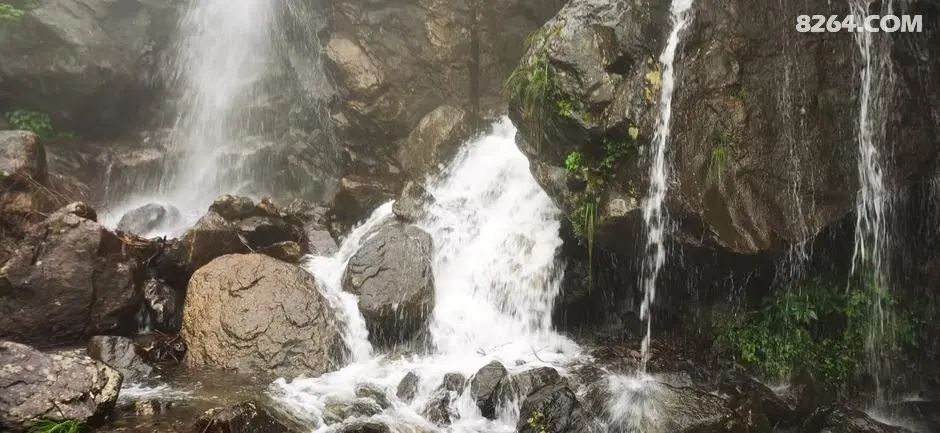 女子单人五一重装武功山全穿，狂风暴雨，云海奔涌，杜鹃娇艳，这景色绝了 - 第137张