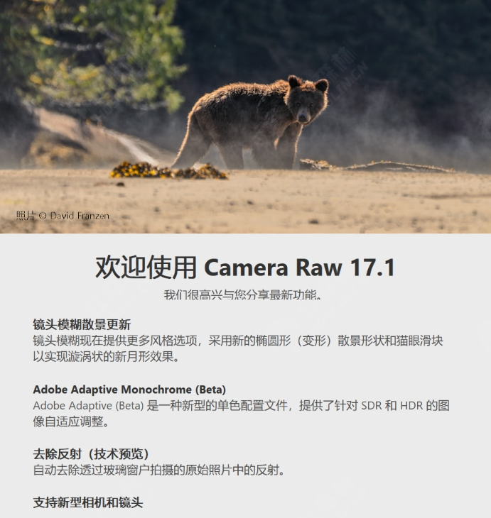 ACR插件Camera Raw 17.1破解免费下载PS滤镜插件 - 第1张