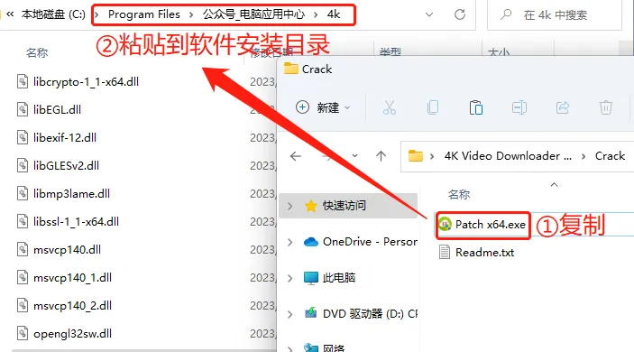 【最新版】4K Video Downloader+ 永久激活版v25.1.2.0198 国外视频网站视频下载工具 百度网盘 - 第11张 - 土一的小窝窝 【最新版】4K Video Downloader+ 永久激活版v25.1.2.0198 国外视频网站视频下载工具 百度网盘 - 第11张