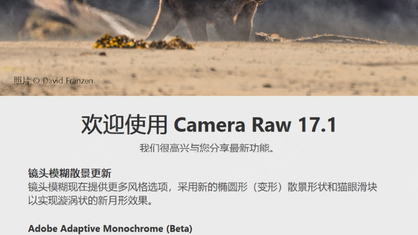 ACR插件Camera Raw 17.1破解免费下载PS滤镜插件